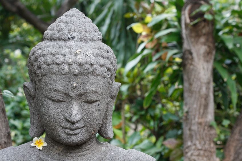 buddha mindfulness meditation